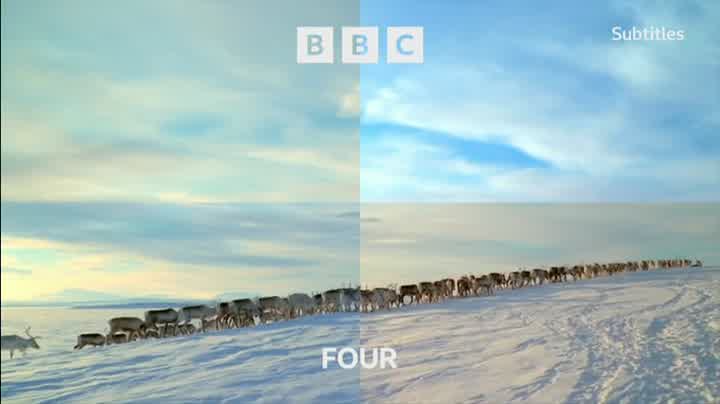 Ident