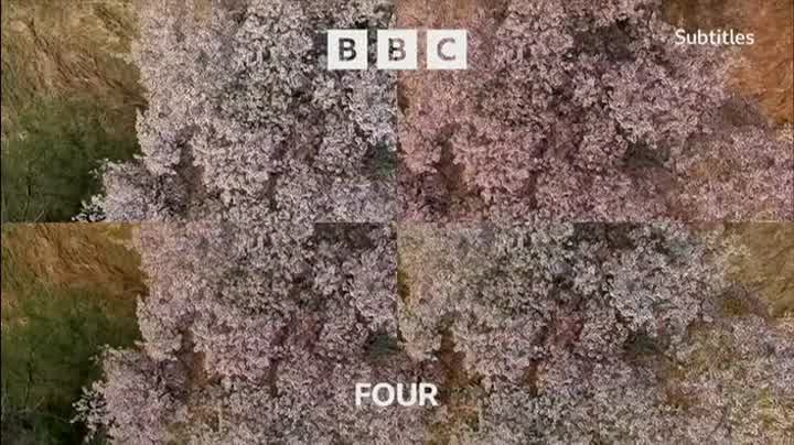 Ident