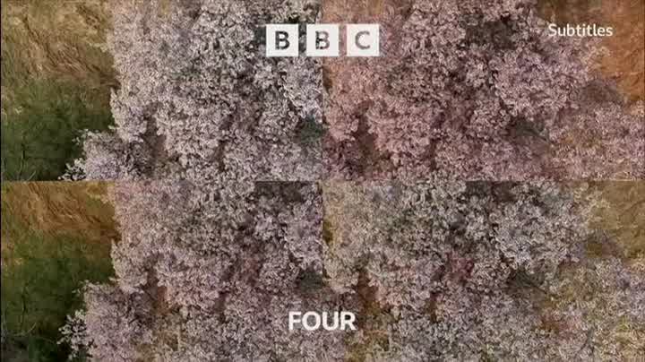 Ident
