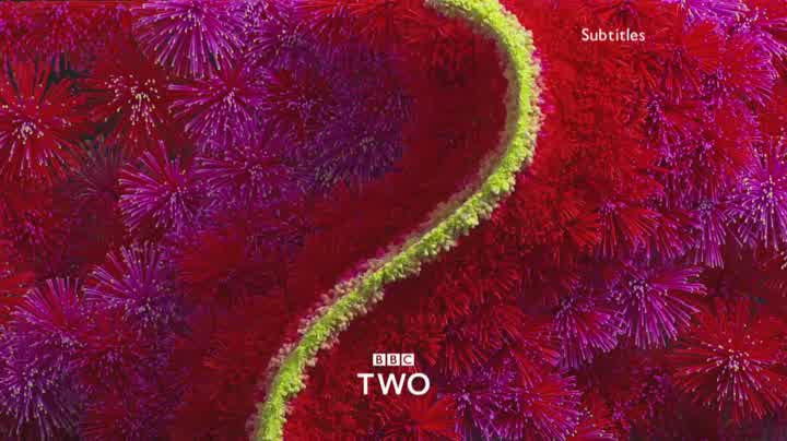 BBC Two - Celebratory