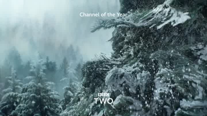 Ident